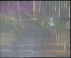 Nástup na běžecké tratě