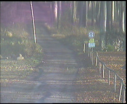 Nástup na běžecké tratě