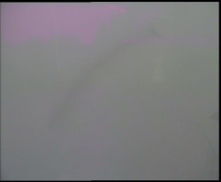 Nástup na běžecké tratě