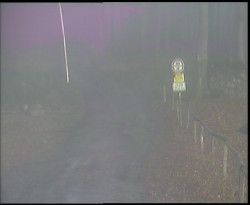 Nástup na běžecké tratě