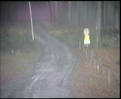 Nástup na běžecké tratě