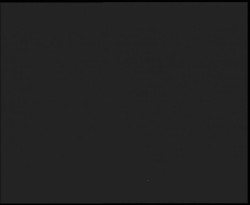 Nástup na běžecké tratě