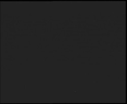 Nástup na běžecké tratě