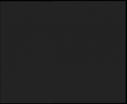 Nástup na běžecké tratě