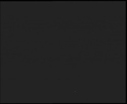 Nástup na běžecké tratě