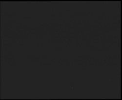 Nástup na běžecké tratě