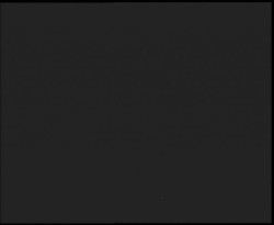 Nástup na běžecké tratě