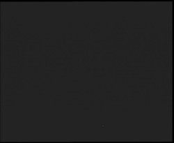 Nástup na běžecké tratě