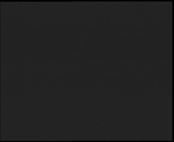 Nástup na běžecké tratě