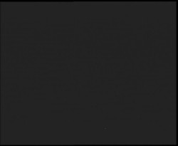 Nástup na běžecké tratě