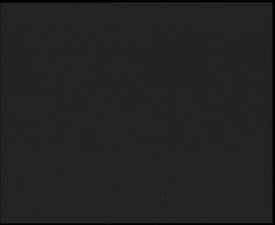 Nástup na běžecké tratě