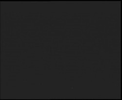 Nástup na běžecké tratě