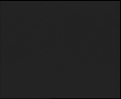 Nástup na běžecké tratě