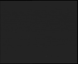 Nástup na běžecké tratě