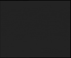 Nástup na běžecké tratě