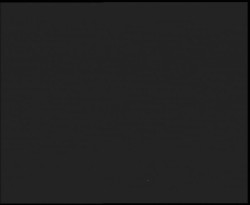 Nástup na běžecké tratě