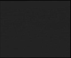 Nástup na běžecké tratě