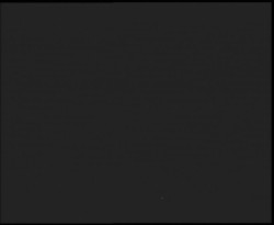 Nástup na běžecké tratě