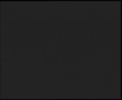 Nástup na běžecké tratě