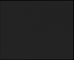 Nástup na běžecké tratě