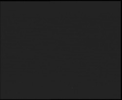 Nástup na běžecké tratě