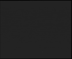 Nástup na běžecké tratě