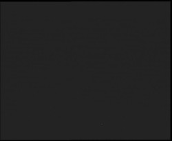 Nástup na běžecké tratě