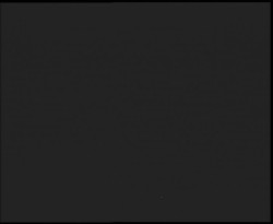 Nástup na běžecké tratě