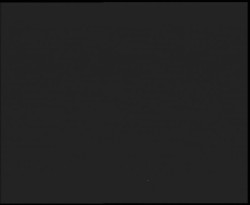 Nástup na běžecké tratě