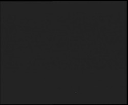 Nástup na běžecké tratě