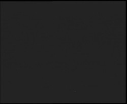 Nástup na běžecké tratě