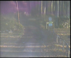 Nástup na běžecké tratě