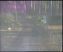 Nástup na běžecké tratě