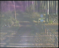 Nástup na běžecké tratě