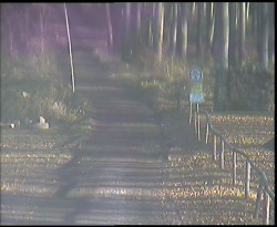 Nástup na běžecké tratě