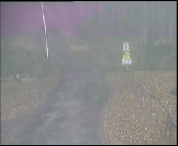 Nástup na běžecké tratě