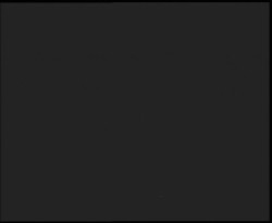 Nástup na běžecké tratě