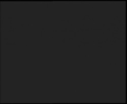 Nástup na běžecké tratě