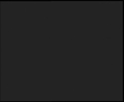 Nástup na běžecké tratě