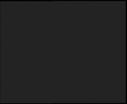 Nástup na běžecké tratě