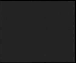 Nástup na běžecké tratě