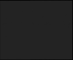 Nástup na běžecké tratě