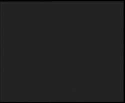 Nástup na běžecké tratě