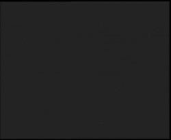 Nástup na běžecké tratě