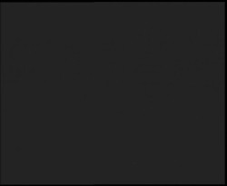 Nástup na běžecké tratě