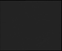 Nástup na běžecké tratě