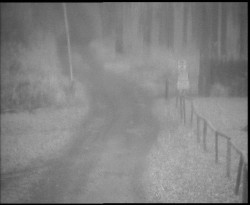 Nástup na běžecké tratě