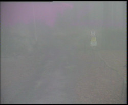 Nástup na běžecké tratě