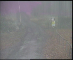 Nástup na běžecké tratě