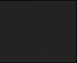 Nástup na běžecké tratě